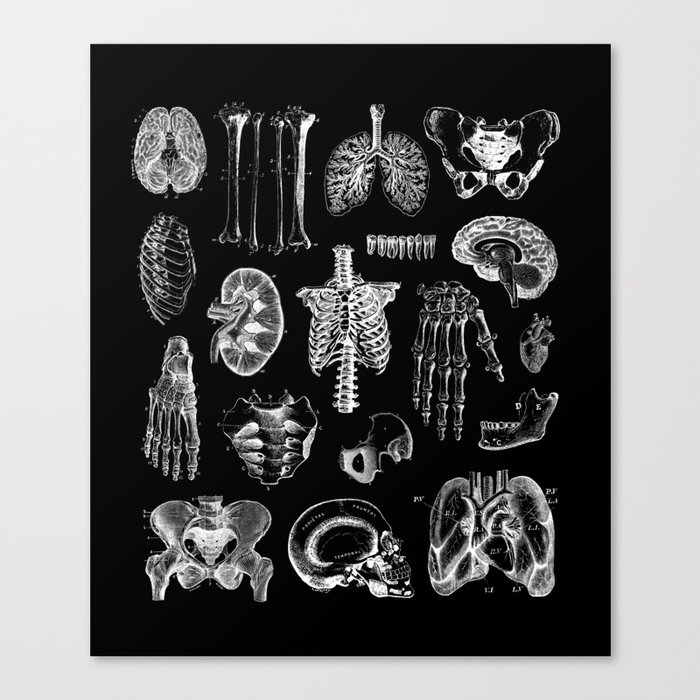 Canvas Print