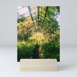greenhouse Mini Art Print
