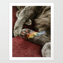 Rainbow Kitty Peet Art Print