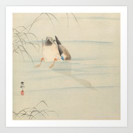 Wild duck, the head under water - Ohara Koson (1900-1930) Art Print