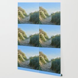 Beach Dunes Bermagui Wallpaper