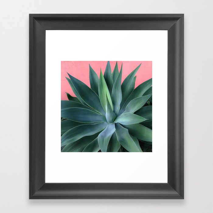 Agave succulent Framed Art Print