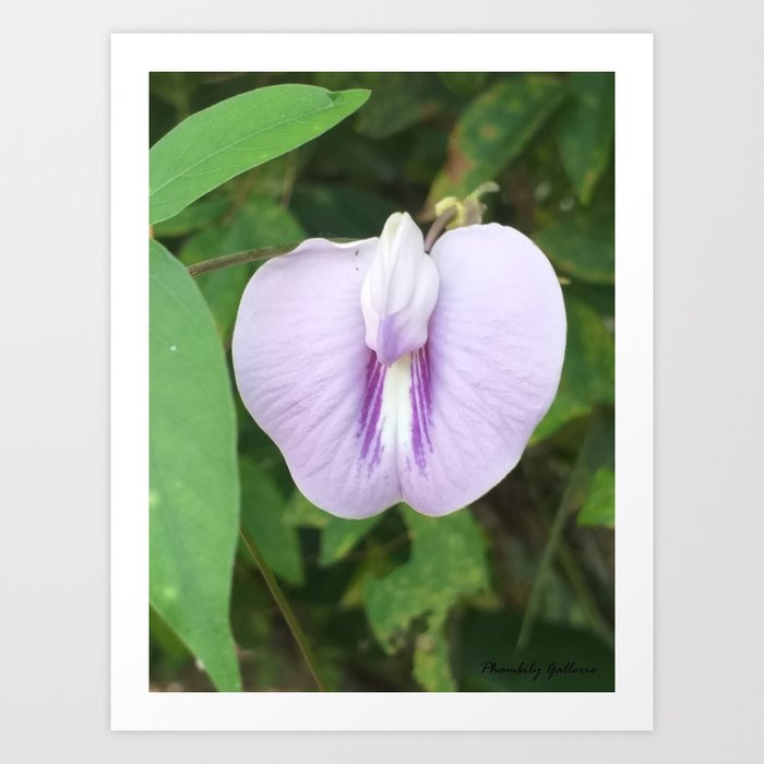 Purple Love NBD Jamaica Spring 2020 Art Print