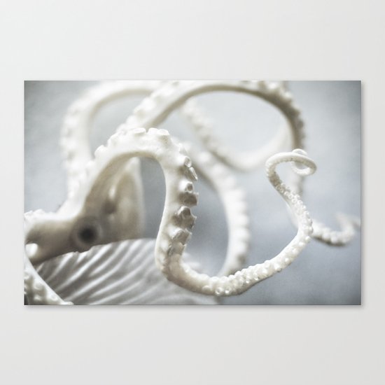 octopus | fig. 01 Canvas Print