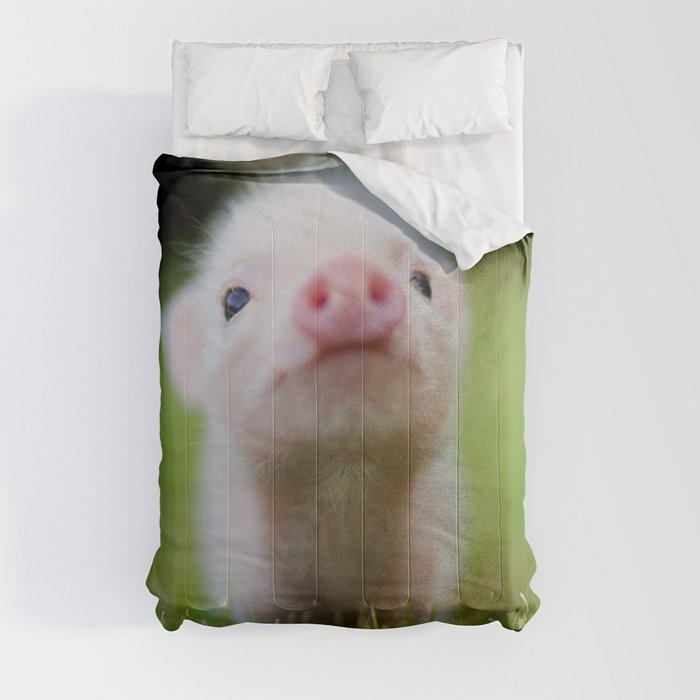 Little Pig Comforter