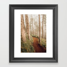 Foggy Forest - Oregon Coast Photography Framed Art Print