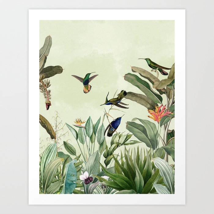 Vintage Tropical Hummingbirds In Jungle Adventure Art Print