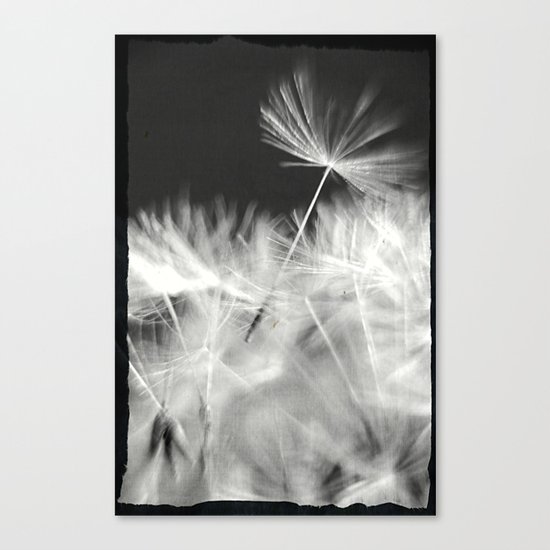 The Dance begins Canvas Print