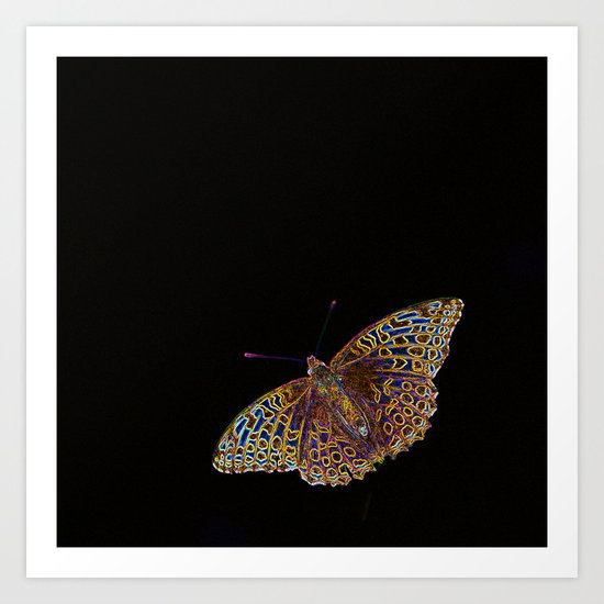 Butterfly on a black background Art Print