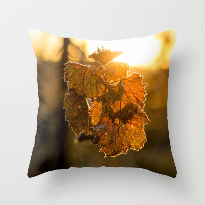 Frost Trimmed Grape Leaf  at Sunrise Throw Pillow