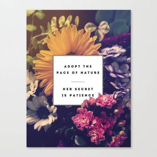 The Pace Of Nature Canvas Print