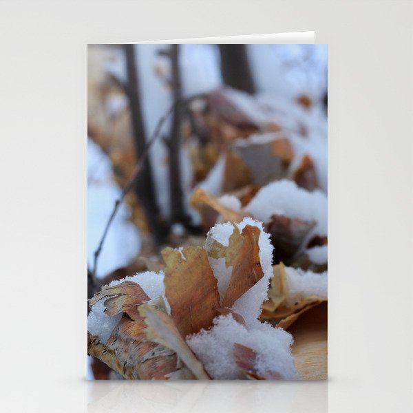 Snowy Birch Tree Stationery Cards
