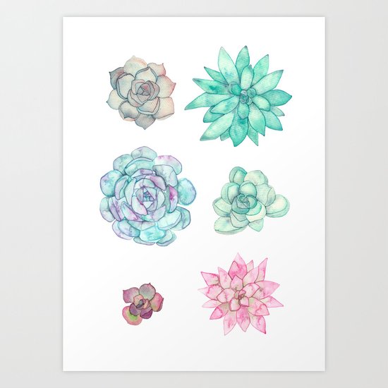 Succulents 2 Art Print