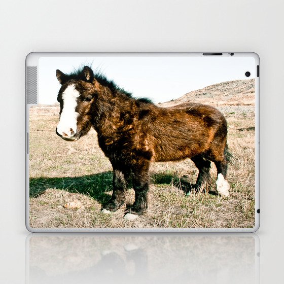 Mini Horse Laptop & iPad Skin