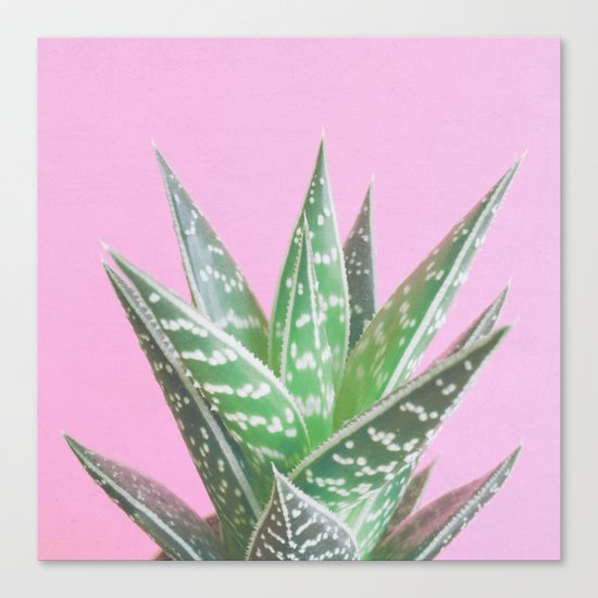 Pink Aloe Tiki Canvas Print