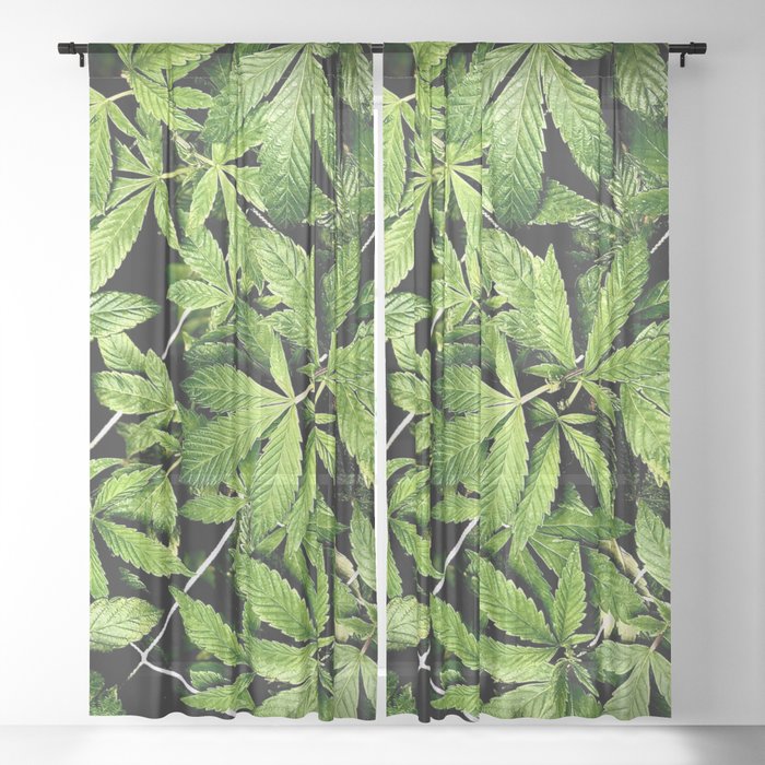 Cannabis Netted Sheer Curtain