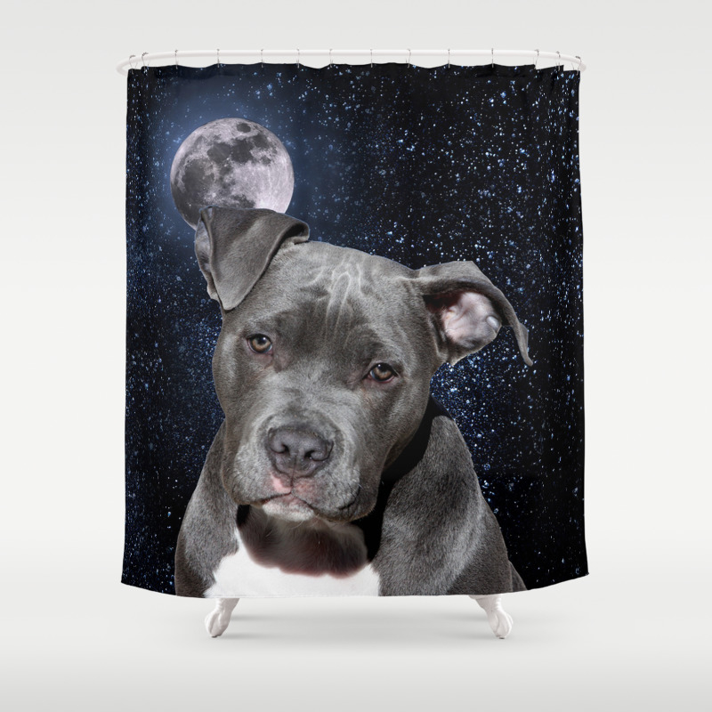 society6