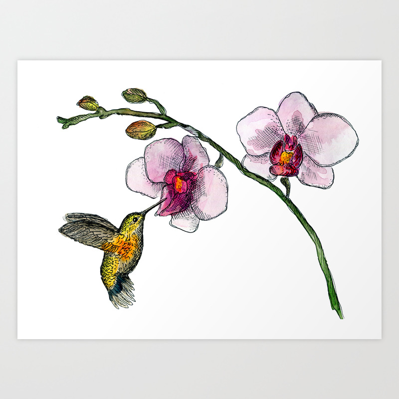 Little Bird And An Orchid Art Print By Rodyan Society6