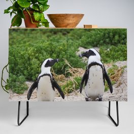 South Africa Photography - Two Small Penguins At The Beach Credenza