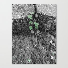 Art Underfoot, The Nature of Hearts 4 Canvas Print