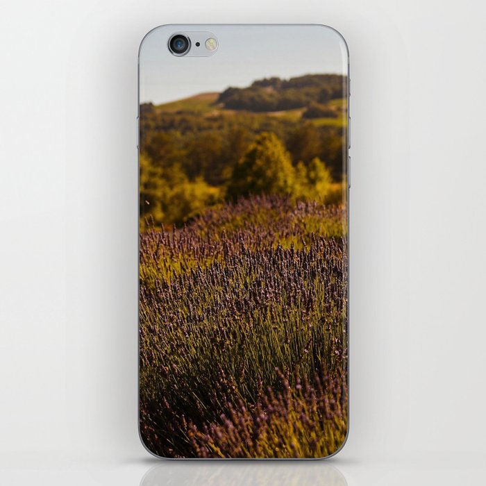 Lavender Fields II iPhone Skin