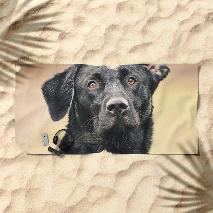 Labrador towels sale