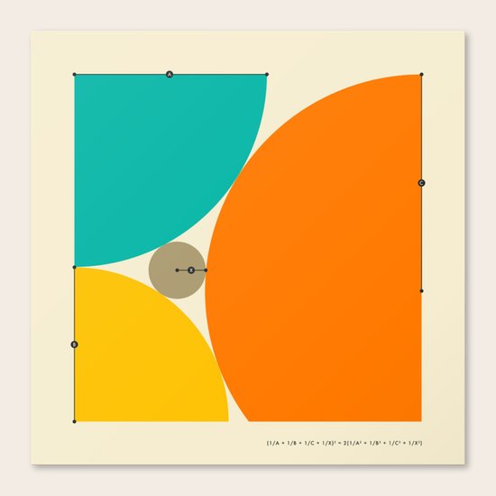 DESCARTES' THEOREM Canvas Print