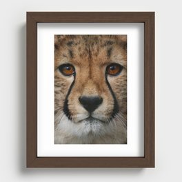 Cheetah close up Recessed Framed Print