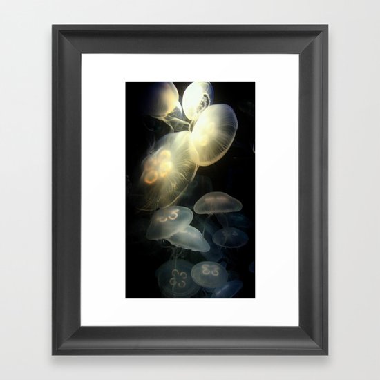 Jellyfish Darkness to Light Framed Art Print