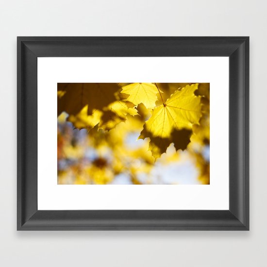 fall Framed Art Print