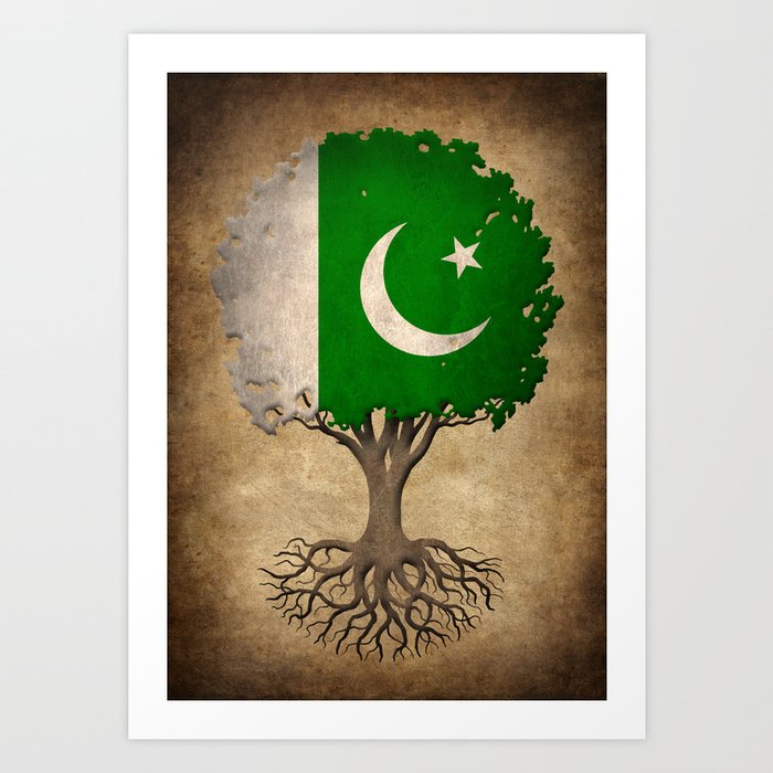 Vintage Tree Of Life With Flag Of Pakistan Art Print By Jeffbartels Society6