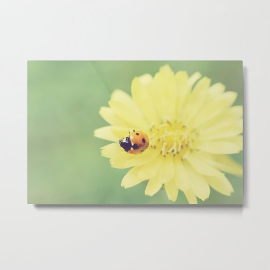 A Flower for My Lady Metal Print
