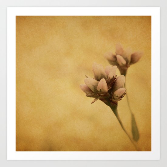 EVERY FLOWER IS A SOUL Art Print