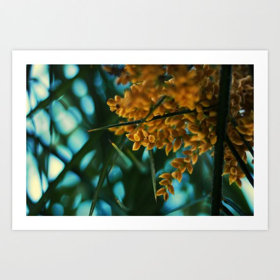 The Amazon. Art Print