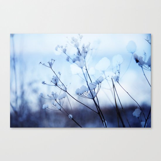 Winter 1 Canvas Print