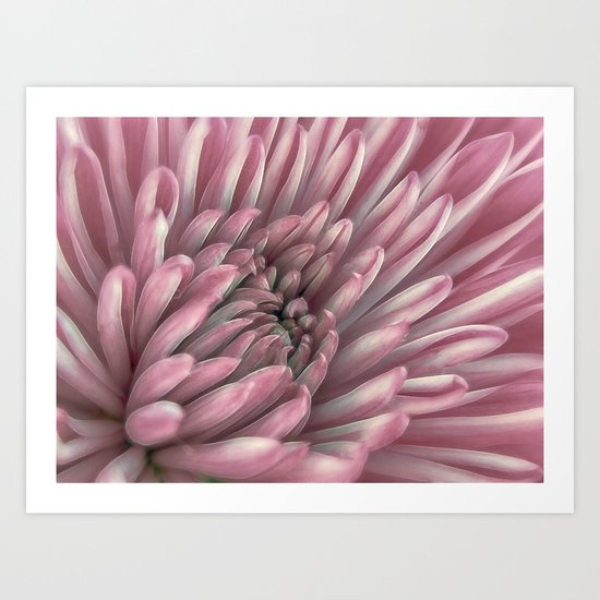 Pale Pink Xanth Art Print