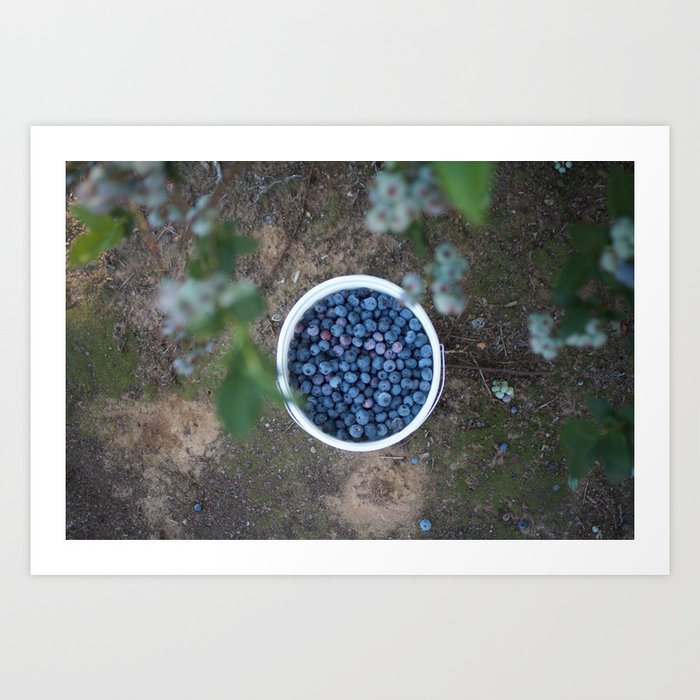 Bucket of Berries Art Print