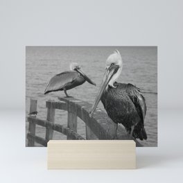 Pelican Mini Art Print