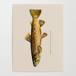 The Brown Trout Poster