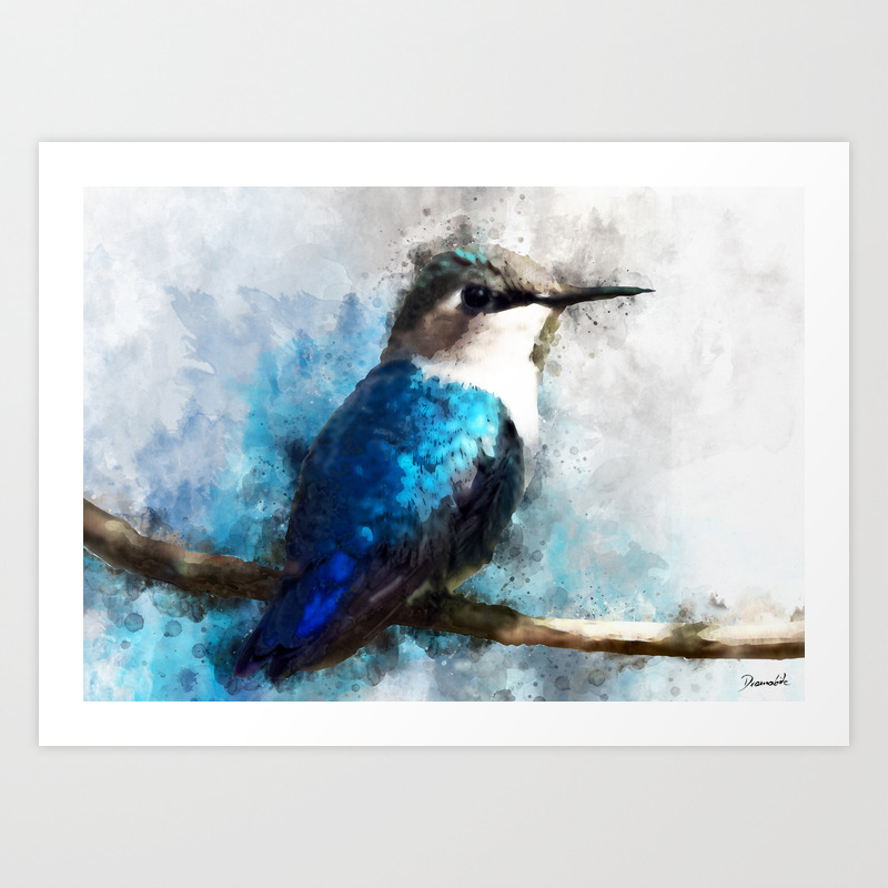 Humming Bird Blue Teal Bird Wildlife Animal Watercolor Artistic
