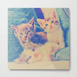 Three Little Cats Metal Print
