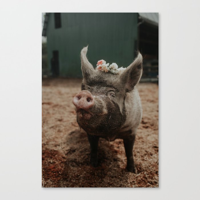 Lucy Canvas Print