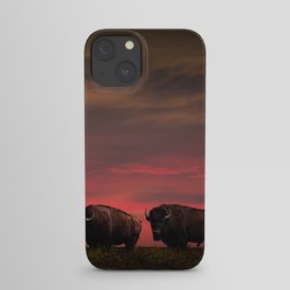 Two American Buffalo Bison at Sunset iPhone Case