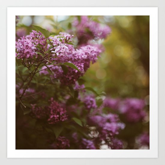 Lilac Daydream Art Print