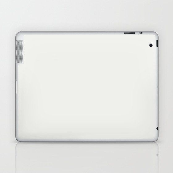 Picket Fence White Laptop & iPad Skin