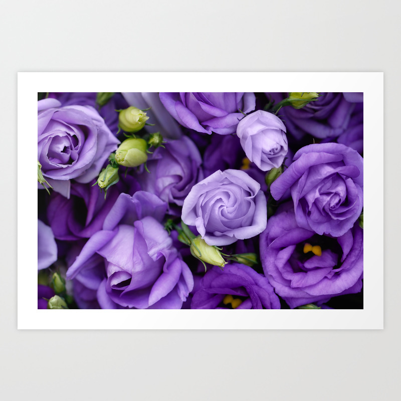 Beautiful Purple Roses Background Art Print By Edalin Society6