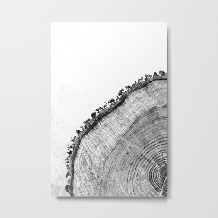 Tree Ring Print Metal Print