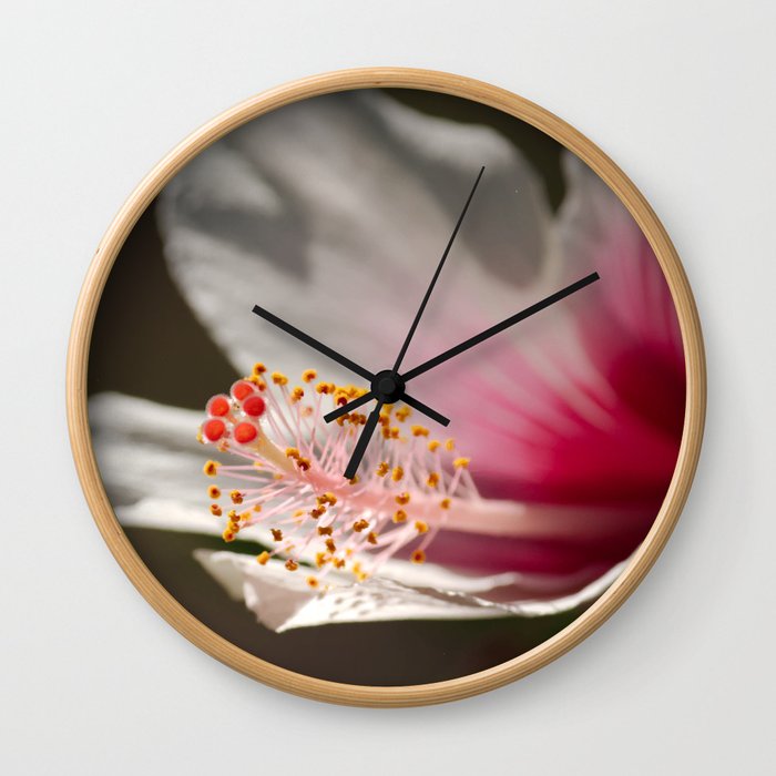 Tropical White & Pink Hibiscus Flower Wall Clock