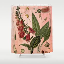 Vintage Botanical Illustration Collage, Foxgloves, Digitalis Purpurea Shower Curtain