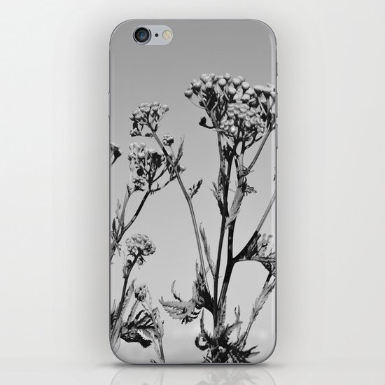 Weeds iPhone & iPod Skin